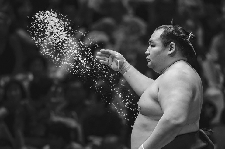 The Political Life of&nbsp;Sumo